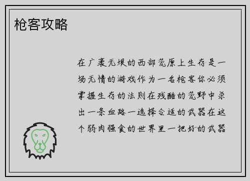 枪客攻略